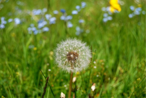 赤峰薩隆理發(fā)店地址電話號碼-第1張圖片