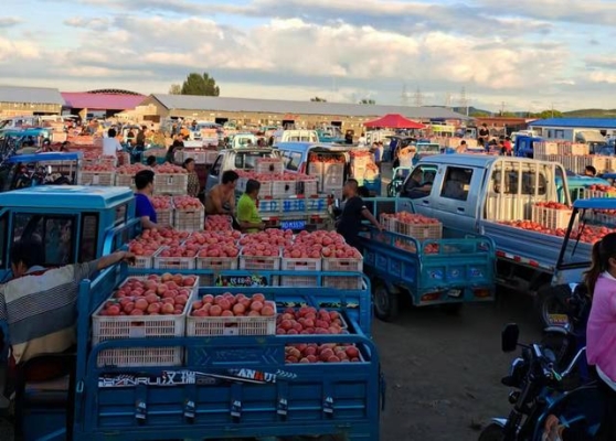 赤峰寧城收二手家電電話號碼-第1張圖片