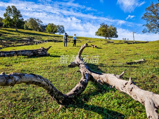 赤峰大銘廚衛(wèi)浴電話號(hào)碼多少-第1張圖片