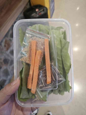 赤峰市橋邊動物園電話號碼-第1張圖片