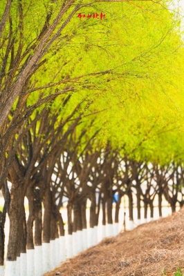 赤峰冠達汽修電話多少號碼-第1張圖片