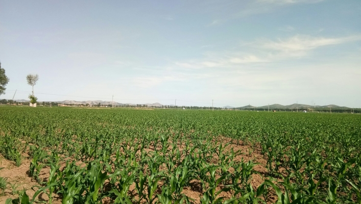 赤峰乃林鎮(zhèn)學(xué)校電話號碼是多少-第1張圖片