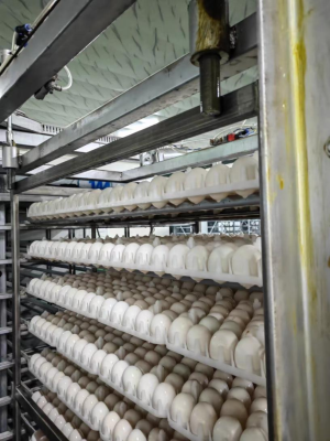 赤峰智能門(mén)窗制造廠家電話號(hào)碼-第1張圖片