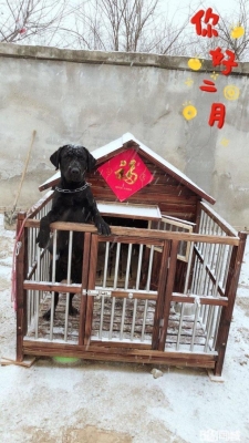 赤峰寄養(yǎng)觀賞魚電話號碼查詢-第1張圖片