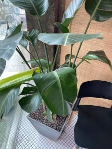 赤峰徐記咸菜館電話號碼多少-第1張圖片