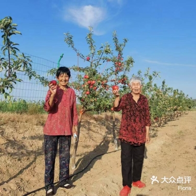 赤峰百柳采摘園電話號碼查詢-第1張圖片