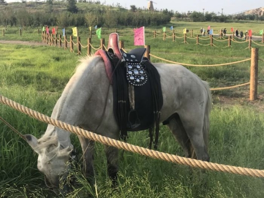 赤峰左旗羽毛球館電話號碼-第1張圖片