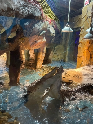 赤峰市海底樂園電話號碼查詢-第1張圖片