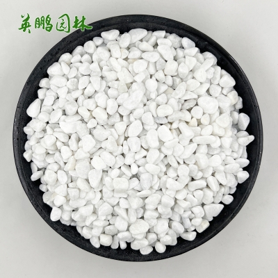 赤峰鋪路石子廠電話號(hào)碼多少-第1張圖片