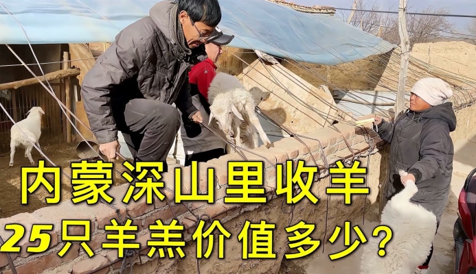 赤峰狗養(yǎng)殖戶電話號碼查詢-第1張圖片