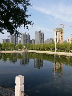 赤峰平莊小米飯店電話號碼-第1張圖片