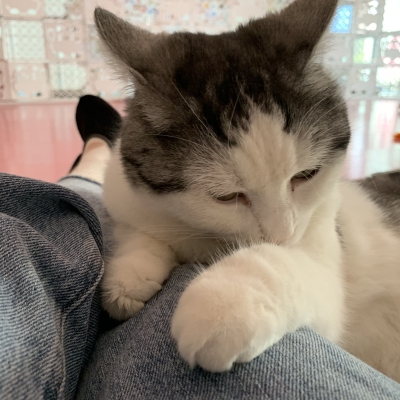 赤峰吳球球咖啡屋電話號碼-第1張圖片