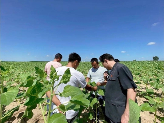 赤峰無人機旅游基地電話號碼-第1張圖片