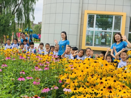 赤峰愛悅藍(lán)天樂高店電話號碼-第1張圖片