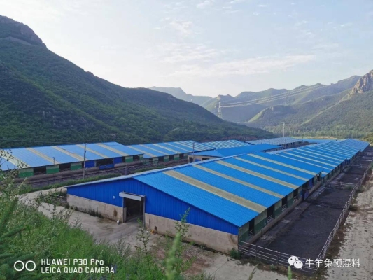 赤峰養(yǎng)殖牛場出租電話多少號-第1張圖片