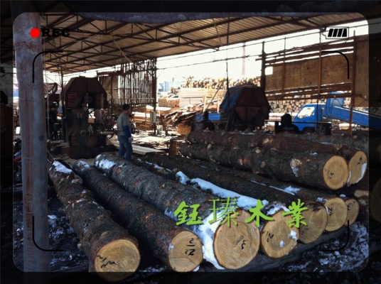 赤峰木頭回收廠家電話多少號-第1張圖片