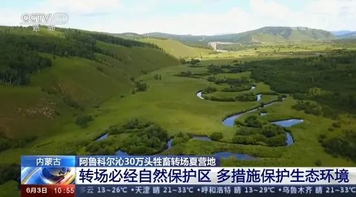 赤峰阿魯科爾沁駕校電話號(hào)碼-第1張圖片