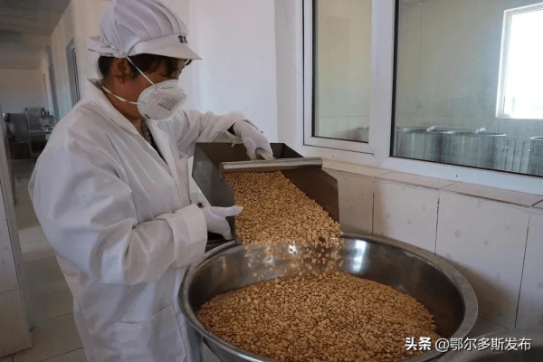 赤峰市野生杏仁基地電話號碼-第1張圖片