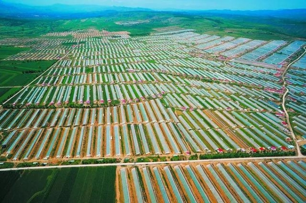 赤峰曲氏棉褲專賣店電話號碼-第1張圖片