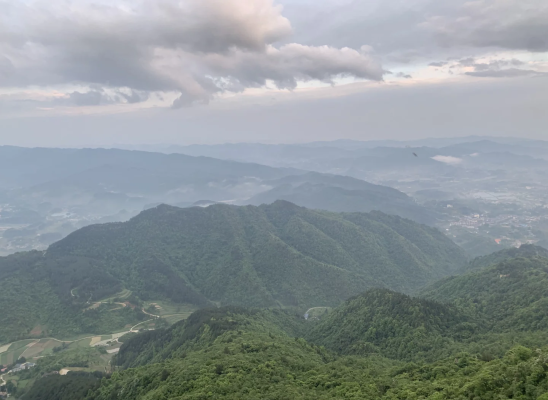 金鼎山在哪里?-第1張圖片