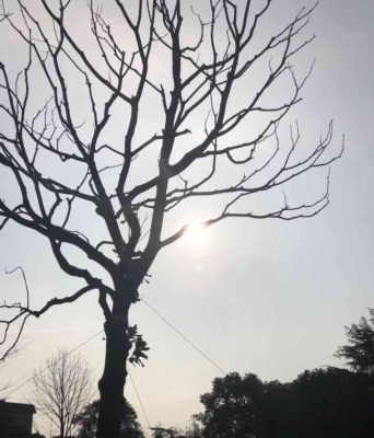 赤峰格調(diào)咖啡廳電話號碼多少-第1張圖片