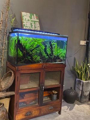 赤峰潮汕小館電話多少啊-第1張圖片