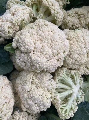 赤峰市收購菜花聯(lián)系電話號碼-第1張圖片