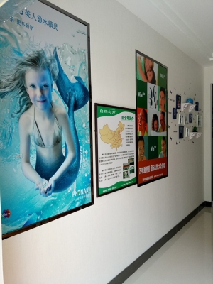 赤峰好的洗衣店電話地址查詢-第1張圖片