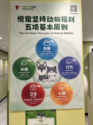 赤峰寵悅樂園在哪里啊電話號碼-第1張圖片