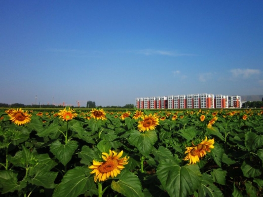 赤峰紅廟子養(yǎng)殖場地址電話號碼-第1張圖片