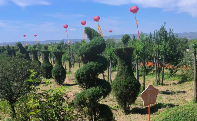 赤峰七彩游樂園電話號(hào)碼-第1張圖片