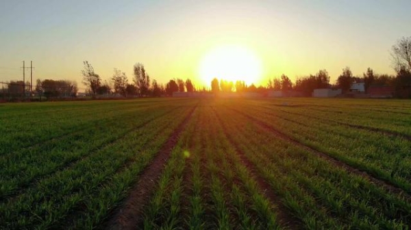 赤峰麥子工作室電話號(hào)碼查詢-第1張圖片