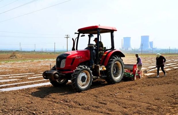赤峰市谷子合作社電話號碼-第1張圖片