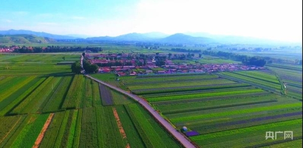 赤峰金太陽(yáng)種植合作社電話-第1張圖片