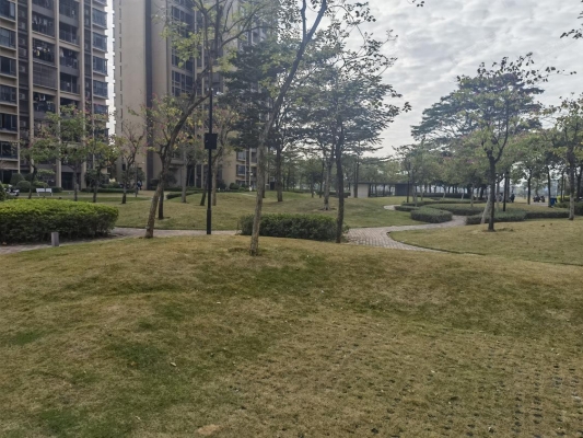 赤峰眾聯(lián)時代城籃球館電話號碼-第1張圖片