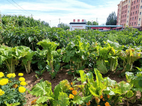 赤峰路口大娘燒烤電話號碼查詢-第1張圖片