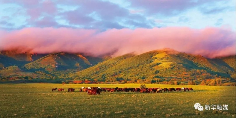 赤峰千合美容院地址電話號(hào)碼-第1張圖片