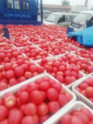 赤峰柿子火鍋店電話號碼多少-第1張圖片