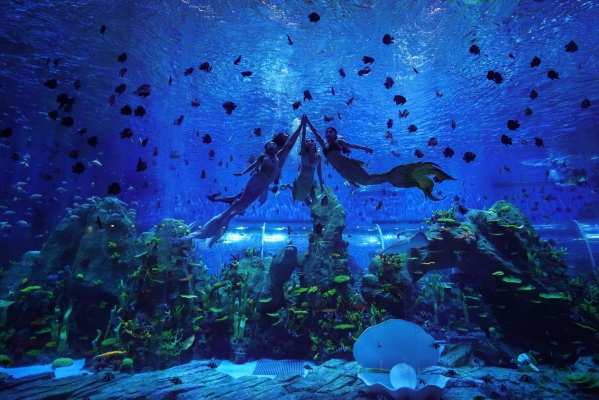 赤峰海地大世界電話號碼查詢-第1張圖片