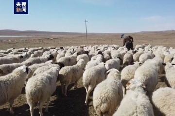 赤峰市禁牧大隊(duì)地址電話號(hào)碼-第1張圖片