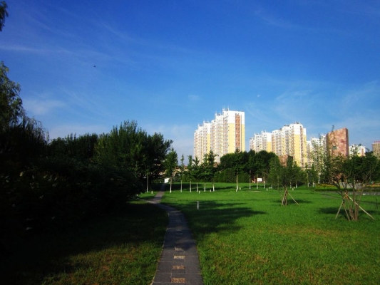 赤峰石博園花店電話號(hào)碼查詢-第1張圖片