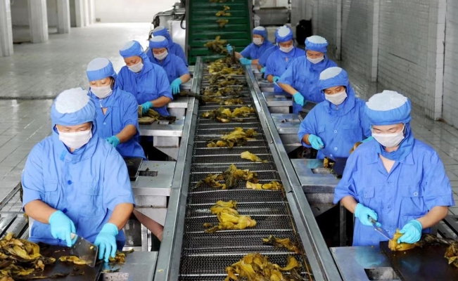 赤峰酸菜加工廠電話多少號(hào)-第1張圖片