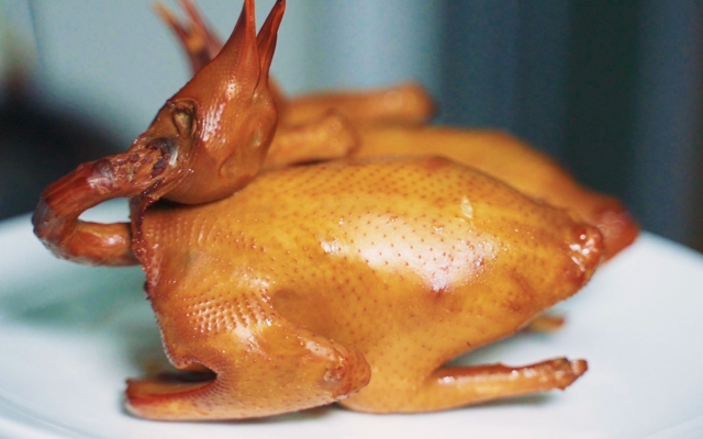 赤峰市賣乳鴿的地方電話號碼-第1張圖片