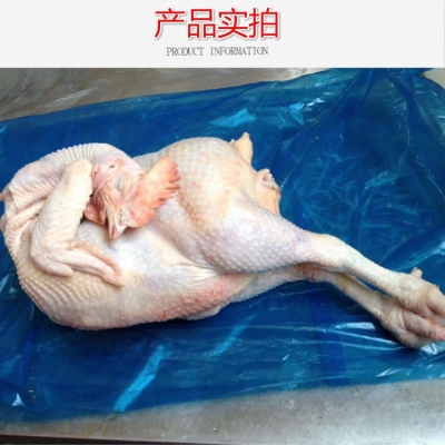 赤峰冷凍老母雞批發(fā)電話號(hào)碼-第1張圖片