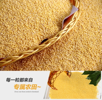 赤峰市商品雜糧批發(fā)電話號(hào)碼-第1張圖片