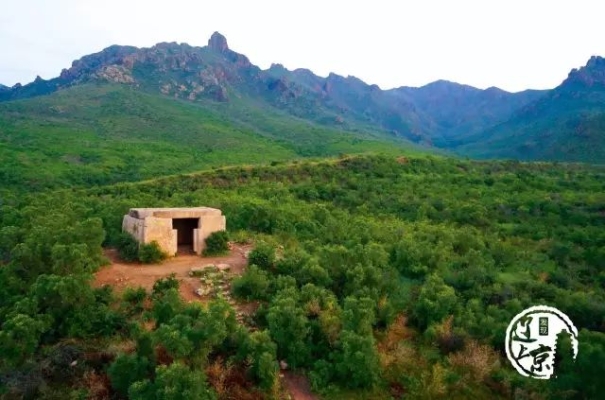 赤峰市林東鎮(zhèn)配貨站電話號碼-第1張圖片