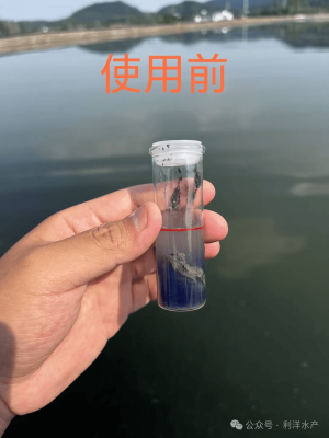 赤峰養(yǎng)殖河蟹基地電話多少號-第1張圖片