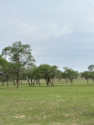 赤峰市豐源玩具城電話號(hào)碼-第1張圖片