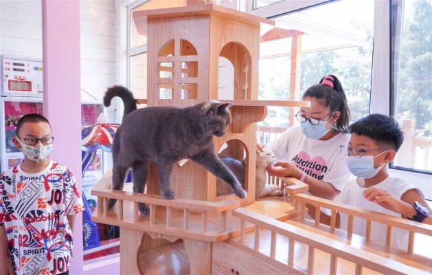 赤峰新華書店貓屋電話地址查詢-第1張圖片