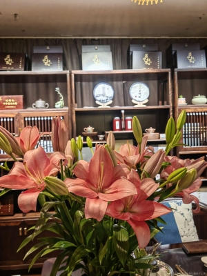 赤峰潤(rùn)泓餐飲店電話地址查詢-第1張圖片